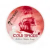 Phoenix Artisan Accoutrements Rasierseife Cold Spices CK-6 113g