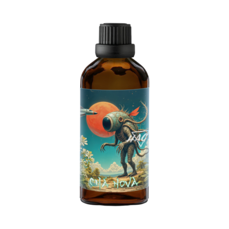 HAGS Witch Hazel Aftershave Lotion Cha Nova 100 ml