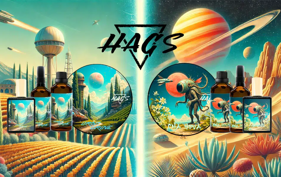 startbild-oben-hags
