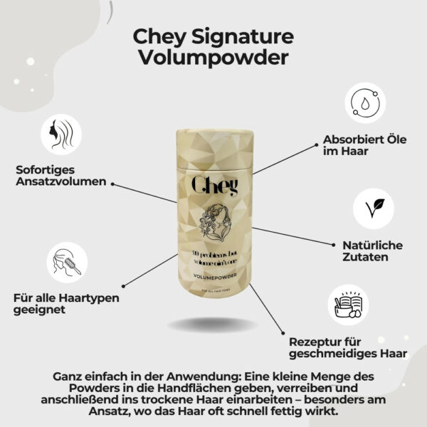 Chey Signature Volumepowder 10g Highlight 1